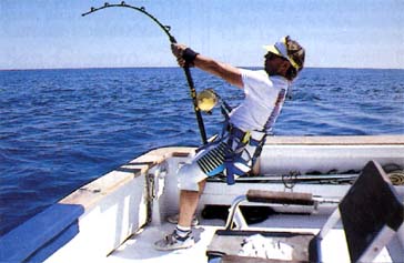 Dennis Braid, angler californiano