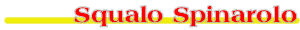 Pesca dello Squalo Spinarolo