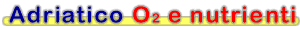 Adriatico: Ossigeno disciolto e nutrienti