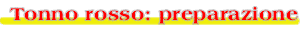 La macellazione e preparazione delle carni del tonno rosso